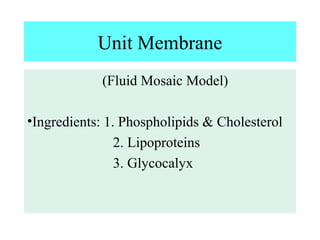 Unit Membrane
(Fluid Mosaic Model)
•Ingredients: 1. Phospholipids & Cholesterol
2. Lipoproteins
3. Glycocalyx
 