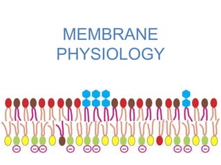 MEMBRANE
PHYSIOLOGY

 