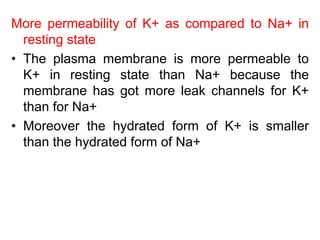 More permeability of K+ as compared to Na+ in
resting state
• The plasma membrane is more permeable to
K+ in resting state than Na+ because the
membrane has got more leak channels for K+
than for Na+
• Moreover the hydrated form of K+ is smaller
than the hydrated form of Na+
 