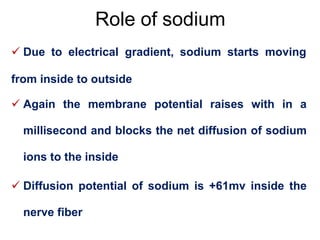 Role of sodium
 Due to electrical gradient, sodium starts moving
from inside to outside
 Again the membrane potential raises with in a
millisecond and blocks the net diffusion of sodium
ions to the inside
 Diffusion potential of sodium is +61mv inside the
nerve fiber
 