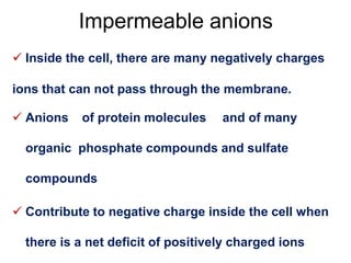 Impermeable anions
 Inside the cell, there are many negatively charges
ions that can not pass through the membrane.
 Anions of protein molecules and of many
organic phosphate compounds and sulfate
compounds
 Contribute to negative charge inside the cell when
there is a net deficit of positively charged ions
 
