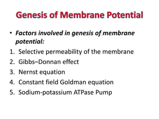 • Factors involved in genesis of membrane
potential:
1. Selective permeability of the membrane
2. Gibbs–Donnan effect
3. Nernst equation
4. Constant field Goldman equation
5. Sodium-potassium ATPase Pump
 