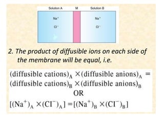 2. The product of diffusible ions on each side of
the membrane will be equal, i.e.
 