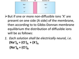 But if one or more non-diffusible ions ‘X’ are
present on one side (A side) of the membrane,
then according to to Gibbs-Donnan membrane
equilibrium the distribution of diffusible ions
will be as follows:
1. Each solution shall be electrically neural, i.e.
(Na+)A = (Cl-)A + (X-)A
(Na+)B = (Cl-)B
 