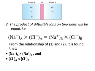 2. The product of diffusible ions on two sides will be
equal, i.e.
From the relationship of (1) and (2), it is found
that:
• (Na+)A > (Na+)B , and
• (Cl−)A < (Cl−)B
 