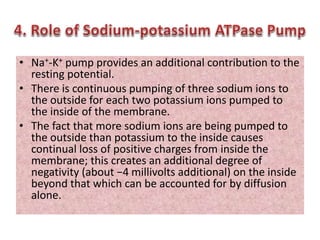 • Na+-K+ pump provides an additional contribution to the
resting potential.
• There is continuous pumping of three sodium ions to
the outside for each two potassium ions pumped to
the inside of the membrane.
• The fact that more sodium ions are being pumped to
the outside than potassium to the inside causes
continual loss of positive charges from inside the
membrane; this creates an additional degree of
negativity (about −4 millivolts additional) on the inside
beyond that which can be accounted for by diffusion
alone.
 