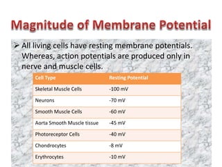  All living cells have resting membrane potentials.
Whereas, action potentials are produced only in
nerve and muscle cells.
Cell Type Resting Potential
Skeletal Muscle Cells -100 mV
Neurons -70 mV
Smooth Muscle Cells -60 mV
Aorta Smooth Muscle tissue -45 mV
Photoreceptor Cells -40 mV
Chondrocytes -8 mV
Erythrocytes -10 mV
 