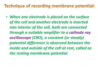 • When one electrode is placed on the surface
of the cell and another electrode is inserted
into interior of the cell, both are connected
through a suitable amplifier to a cathode ray
oscilloscope (CRO), a constant (or steady)
potential difference is observed between the
inside and outside of the cell at rest, called as
the resting membrane potential.
 