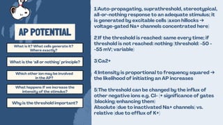 Ap Potential Report Membrane Potential Practical Physiology Class | PDF