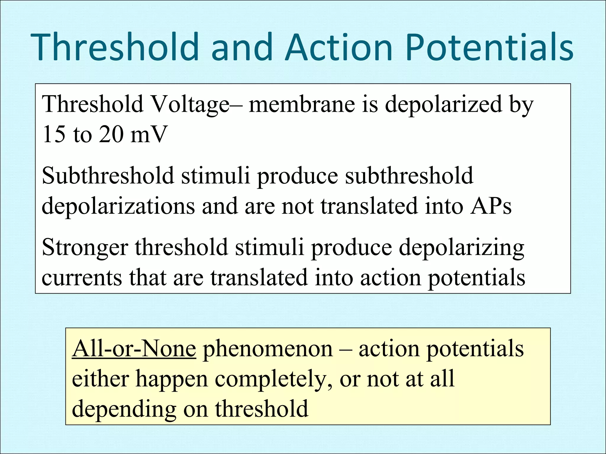 Membrane potential + action potential | PPT