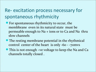 Re- excitation process necessary for
spontaneous rhythmicity
For spontaneous rhythmicity to occur, the
membbrane even in its natural state must be
permeable enough to Na + ions or to Ca and Na thru
slow channels
The resting membrane potential in the rhythmical
control center of the heart is only -60 - -70mvs
This is not enough –ve voltage to keep the Na and Ca
channels totally closed .
 