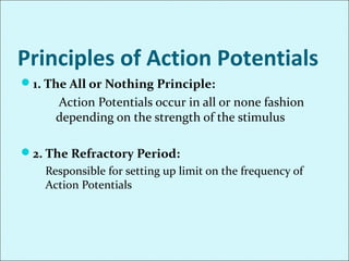 Principles of Action Potentials
1. The All or Nothing Principle:
Action Potentials occur in all or none fashion
depending on the strength of the stimulus
2. The Refractory Period:
Responsible for setting up limit on the frequency of
Action Potentials
 