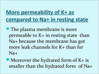 More permeability of K+ as
compared to Na+ in resting state
The plasma membrane is more
permeable to K+ in resting state than
Na+ because the membrane has got
more leak channels for K+ than for
Na+
Moreover the hydrated form of K+ is
smaller than the hydrated form of Na+
 