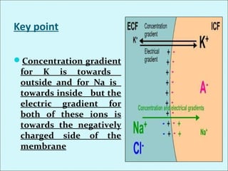 Key point
Concentration gradient
for K is towards
outside and for Na is
towards inside but the
electric gradient for
both of these ions is
towards the negatively
charged side of the
membrane
 