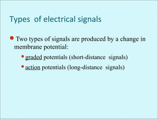 Types of electrical signals
Two types of signals are produced by a change in
membrane potential:
graded potentials (short-distance signals)
action potentials (long-distance signals)
 