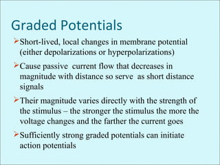 Graded Potentials
Short-lived, local changes in membrane potential
(either depolarizations or hyperpolarizations)
Cause passive current flow that decreases in
magnitude with distance so serve as short distance
signals
Their magnitude varies directly with the strength of
the stimulus – the stronger the stimulus the more the
voltage changes and the farther the current goes
Sufficiently strong graded potentials can initiate
action potentials
 