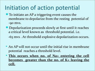 Initiation of action potential
To initiate an AP a triggering event causes the
membrane to depolarize from the resting potential of
-90 mvs.
Depolarization proceeds slowly at first until it reaches
a critical level known as threshold potential. i.e.
-65 mvs . At threshold explosive depolarization occurs.
 An AP will not occur until the initial rise in membrane
potential reaches a threshold level.
 This occurs when no. of Na+ entering the cell
becomes greater than the no. of K+ leaving the
cell.
 