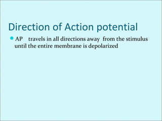 Direction of Action potential
AP travels in all directions away from the stimulus
until the entire membrane is depolarized
 