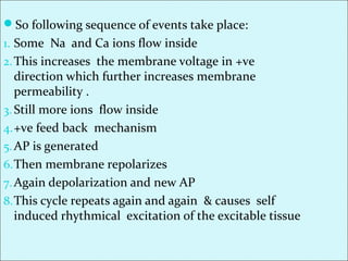 So following sequence of events take place:
1. Some Na and Ca ions flow inside
2.This increases the membrane voltage in +ve
direction which further increases membrane
permeability .
3. Still more ions flow inside
4.+ve feed back mechanism
5.AP is generated
6.Then membrane repolarizes
7.Again depolarization and new AP
8.This cycle repeats again and again & causes self
induced rhythmical excitation of the excitable tissue
 