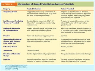 Chapter 4 Principles of Neural
and Hormonal Communication
Human Physiology by Lauralee
Sherwood ©2010 Brooks/Cole,
Cengage Learning
 