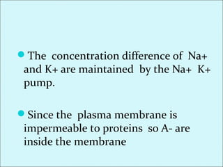 The concentration difference of Na+
and K+ are maintained by the Na+ K+
pump.
Since the plasma membrane is
impermeable to proteins so A- are
inside the membrane
 