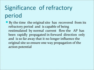Significance of refractory
period
By the time the original site has recovered from its
refractory period and is capable of being
restimulated by normal current flow the AP has
been rapidly propagated in forward direction only
and is so far away that it no longer influence the
original site so ensure one way propagation of the
action potential
 