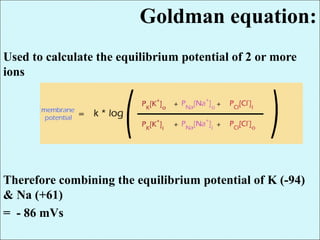 Goldman equation:
Used to calculate the equilibrium potential of 2 or more
ions
Therefore combining the equilibrium potential of K (-94)
& Na (+61)
= - 86 mVs
 