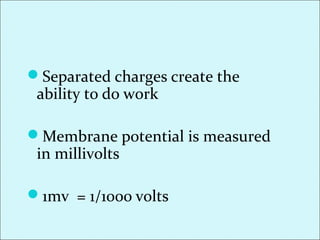 Separated charges create the
ability to do work
Membrane potential is measured
in millivolts
1mv = 1/1000 volts
 
