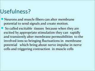 Usefulness?
Neurons and muscle fibers can alter membrane
potential to send signals and create motion.
 So called excitable tissues because when they are
excited by appropriate stimulation they can rapidly
and transiently alter membrane permeabilities to the
involved ions so bringing fluctuations in membrane
potential which bring about nerve impulse in nerve
cells and triggering contraction in muscle cells
 