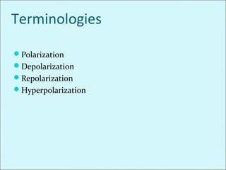 Terminologies
Polarization
Depolarization
Repolarization
Hyperpolarization
 