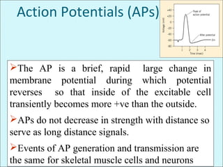 Action Potentials (APs)
The AP is a brief, rapid large change in
membrane potential during which potential
reverses so that inside of the excitable cell
transiently becomes more +ve than the outside.
APs do not decrease in strength with distance so
serve as long distance signals.
Events of AP generation and transmission are
the same for skeletal muscle cells and neurons
 