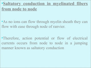 •Saltatory conduction in myelinated fibers
from node to node
•As no ions can flow through myelin sheath they can
flow with ease through node of ranvier.
•Therefore, action potential or flow of electrical
currents occurs from node to node in a jumping
manner known as saltatory conduction
 