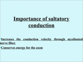 Importance of saltatory
conduction
•Increases the conduction velocity through myelinated
nerve fiber.
•Conserves energy for the axon
 