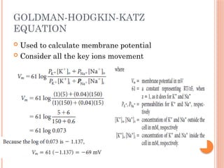 Present Potential Form Membrane Potential & Action Potential present.pptx