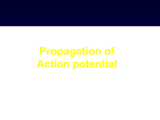 Propagation of
Action potential
 