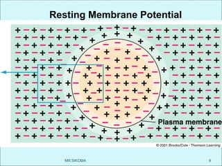 Comprehensive Overview of Membrane Potential and Electrical Signaling ...