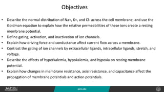 psm.edu
Objectives
• Describe the normal distribution of Na+, K+, and Cl- across the cell membrane, and use the
Goldman equation to explain how the relative permeabilities of these ions create a resting
membrane potential.
• Define gating, activation, and inactivation of ion channels.
• Explain how driving force and conductance affect current flow across a membrane.
• Contrast the gating of ion channels by extracellular ligands, intracellular ligands, stretch, and
voltage.
• Describe the effects of hyperkalemia, hypokalemia, and hypoxia on resting membrane
potential.
• Explain how changes in membrane resistance, axial resistance, and capacitance affect the
propagation of membrane potentials and action potentials.
 