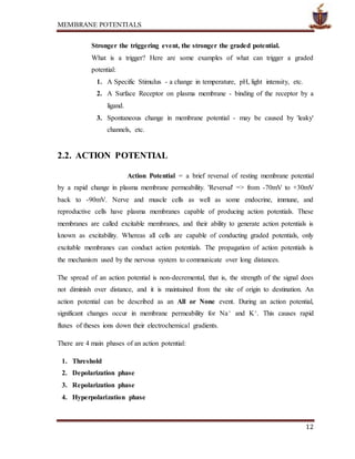MEMBRANE POTENTIALS
12
Stronger the triggering event, the stronger the graded potential.
What is a trigger? Here are some examples of what can trigger a graded
potential:
1. A Specific Stimulus - a change in temperature, pH, light intensity, etc.
2. A Surface Receptor on plasma membrane - binding of the receptor by a
ligand.
3. Spontaneous change in membrane potential - may be caused by 'leaky'
channels, etc.
2.2. ACTION POTENTIAL
Action Potential = a brief reversal of resting membrane potential
by a rapid change in plasma membrane permeability. 'Reversal' => from -70mV to +30mV
back to -90mV. Nerve and muscle cells as well as some endocrine, immune, and
reproductive cells have plasma membranes capable of producing action potentials. These
membranes are called excitable membranes, and their ability to generate action potentials is
known as excitability. Whereas all cells are capable of conducting graded potentials, only
excitable membranes can conduct action potentials. The propagation of action potentials is
the mechanism used by the nervous system to communicate over long distances.
The spread of an action potential is non-decremental, that is, the strength of the signal does
not diminish over distance, and it is maintained from the site of origin to destination. An
action potential can be described as an All or None event. During an action potential,
significant changes occur in membrane permeability for Na+ and K+. This causes rapid
fluxes of theses ions down their electrochemical gradients.
There are 4 main phases of an action potential:
1. Threshold
2. Depolarization phase
3. Repolarization phase
4. Hyperpolarization phase
 