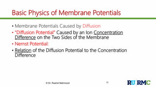 Membrane potentials & Resting Membrane Potential (RMP) | PPTX