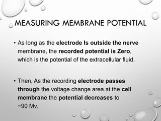 Membrane Potential | PDF