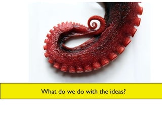 What do we do with the ideas? 