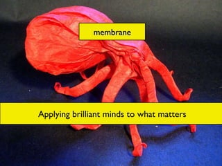 membrane Applying brilliant minds to what matters Applying brilliant minds to what matters membrane 