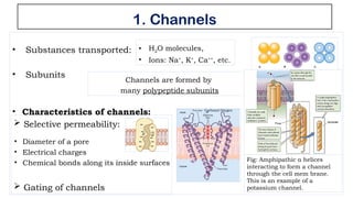 Cell Membrane Proteins (Physiology).pptx