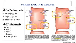 Cell Membrane Proteins (Physiology).pptx