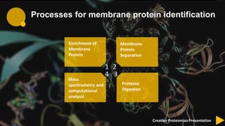 Membrane protein identification by shotgun proteomics | PPTX