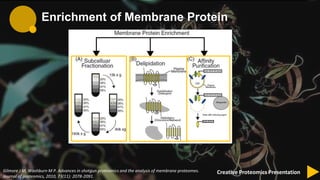 Membrane protein identification by shotgun proteomics | PPTX