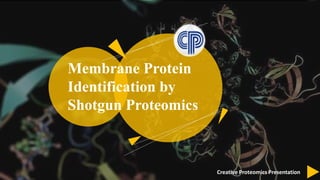 Creative Proteomics Presentation
Membrane Protein
Identification by
Shotgun Proteomics
LOGO
 