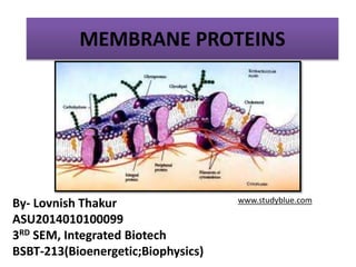 MEMBRANE PROTEINS
By- Lovnish Thakur
ASU2014010100099
3RD SEM, Integrated Biotech
BSBT-213(Bioenergetic;Biophysics)
www.studyblue.com
 