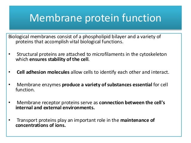 download industrielle enzyme industrielle herstellung und verwendung von enzympraparaten