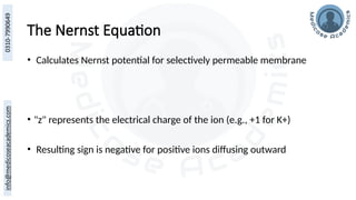 The Nernst Equation
• Calculates Nernst potential for selectively permeable membrane
• "z" represents the electrical charge of the ion (e.g., +1 for K+)
• Resulting sign is negative for positive ions diffusing outward
 